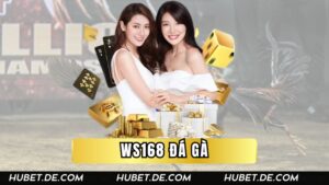WS168 Đá Gà Hubet | Trải Nghiệm Cảm Giác Thi Đấu Đỉnh Cao